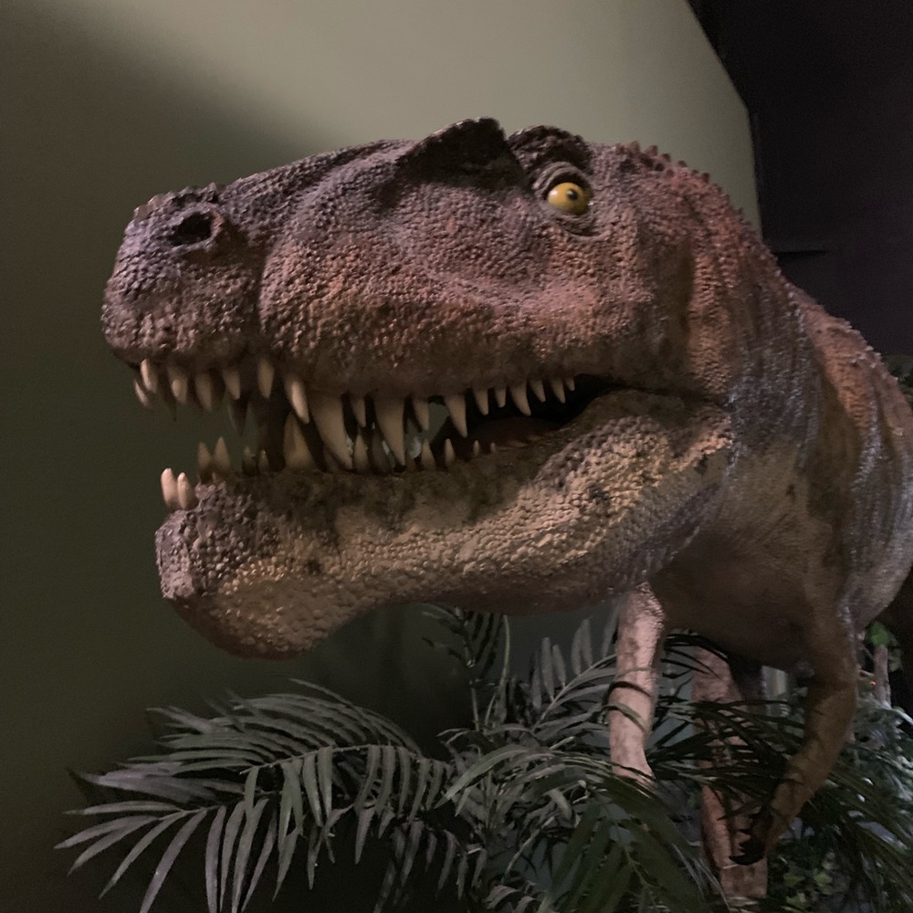 Meet your Posher, Misty